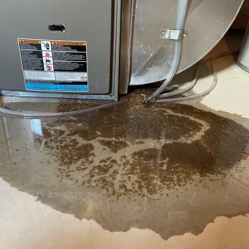 Appliance Leak Cleanup in Iola, KS